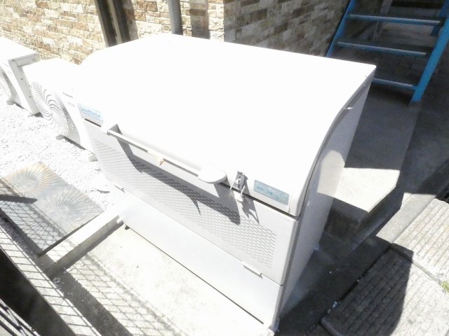 その他共有部分　エバーグリーンエス