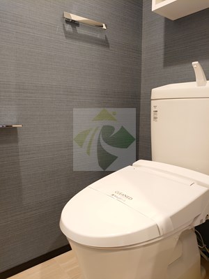 トイレ　ディームス目黒行人坂