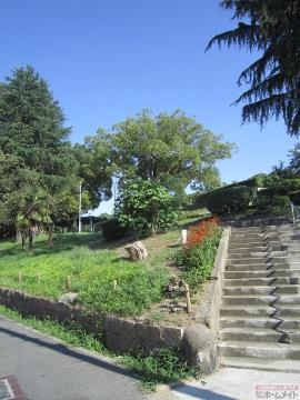 その他　聖天山公園（その他）まで281m