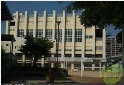 小学校　神戸市立若宮小学校（小学校）まで157m