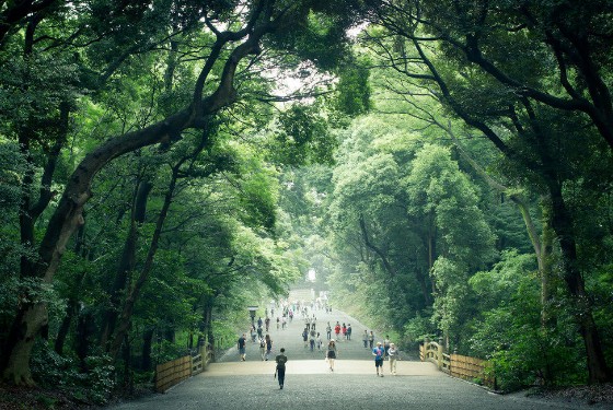 その他　明治神宮（その他）まで821m