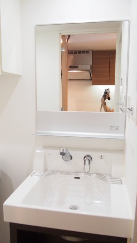 洗面設備　※参考写真