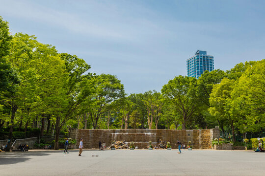 公園　新宿中央公園（公園）まで730m