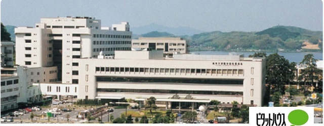 病院　鳥取大学医学部附属病院（病院）まで1053m