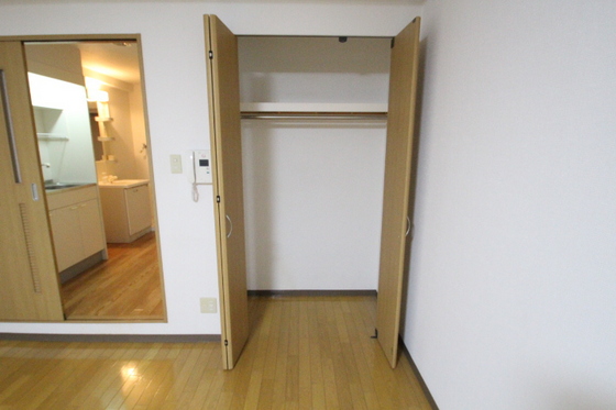 収納　※別部屋の写真です