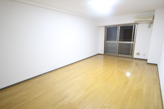 居室・リビング　※別部屋の写真です