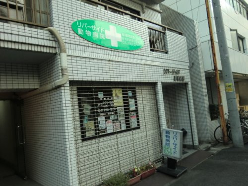 病院　リバーサイド動物病院（病院）まで126m