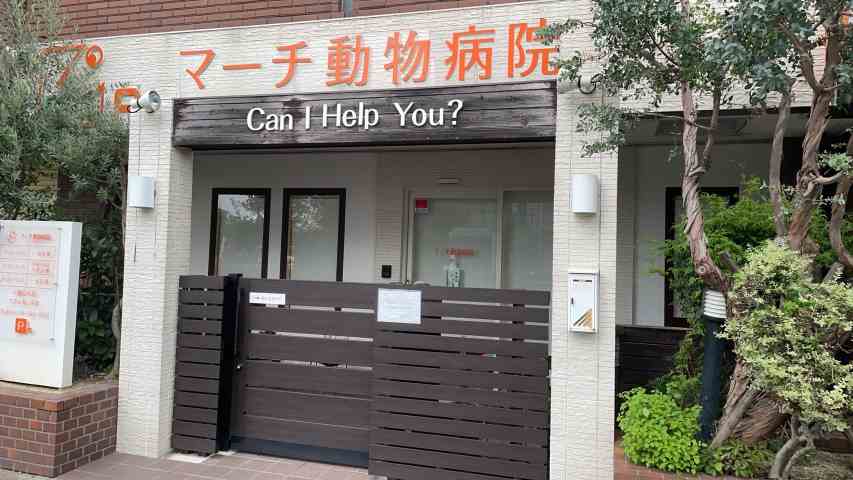 病院　マーチ動物病院（病院）まで18m