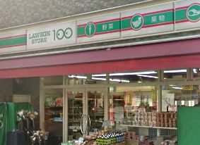 コンビニ　ローソンストア100（コンビニ）まで175m