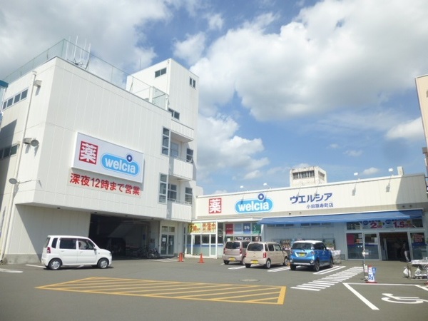 ドラックストア　ウエルシア小田原寿町店（ドラッグストア）まで738m
