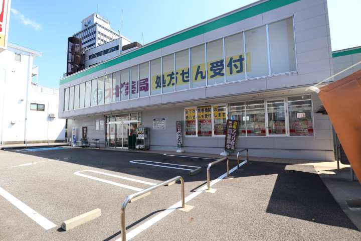 ドラックストア　スギ薬局武蔵町店（ドラッグストア）まで1313m