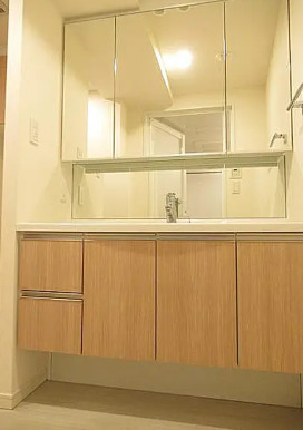 洗面設備　別タイプ部屋　参考写真です