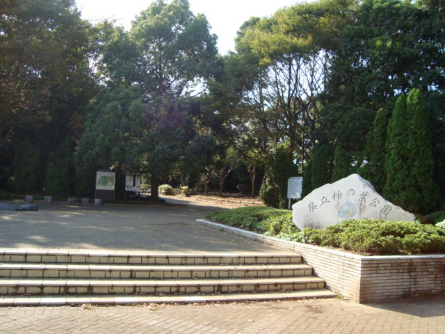 その他　柏の葉公園（その他）まで2000m