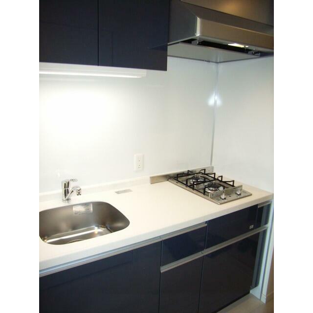 キッチン　A2タイプ2009年3月撮影 同タイプ1404号室の写真です