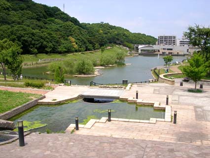 公園　☆福岡県営　中央公園(井堀5丁目)（公園）まで540m