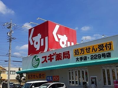 ドラックストア　スギ薬局 大手店 229号店、（ドラッグストア）まで700m