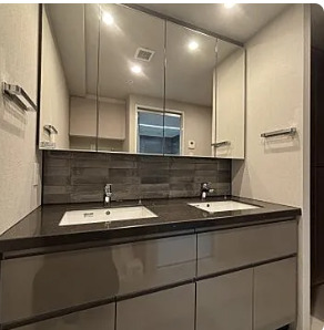 洗面設備　※別部屋の参考写真です。