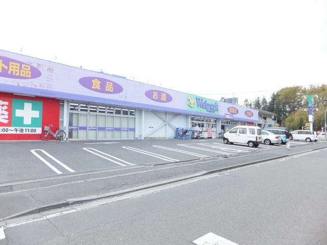 ドラックストア　ウェルパーク上鶴間店（ドラッグストア）まで677m