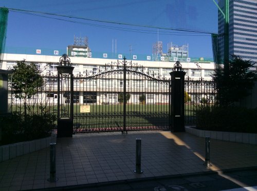 小学校　渋谷区立幡代小学校（小学校）まで577m