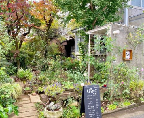 飲食店　ぼんたな atelier cafe(アトリエ カフェ)（飲食店）まで528m