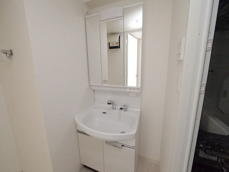 洗面設備　脱衣所　独立洗面台（シャンプードレッサー付）収納スペース有