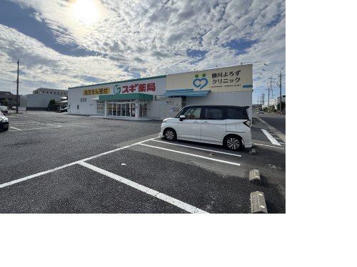 ドラックストア　スギ薬局　松河戸店（ドラッグストア）まで263m