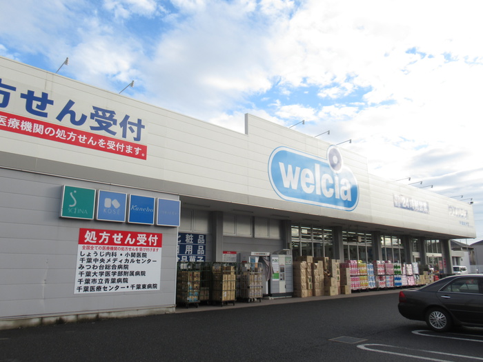 ドラックストア　ウェルシア（ドラッグストア）まで250m