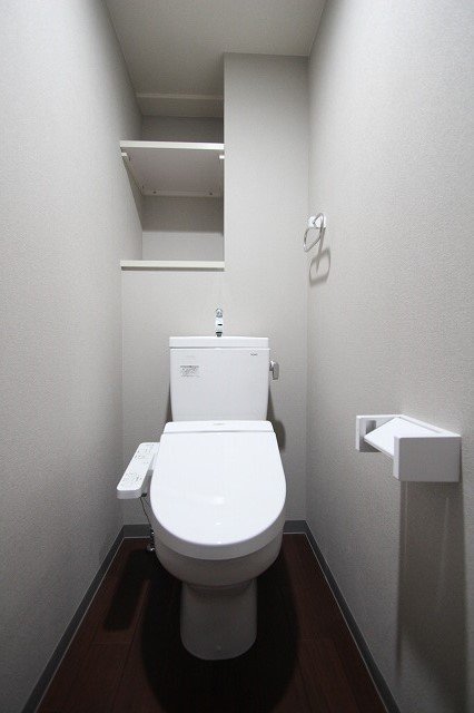 トイレ　同物件別号室のものです。