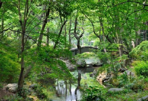 公園　有栖川宮記念公園（公園）まで904m