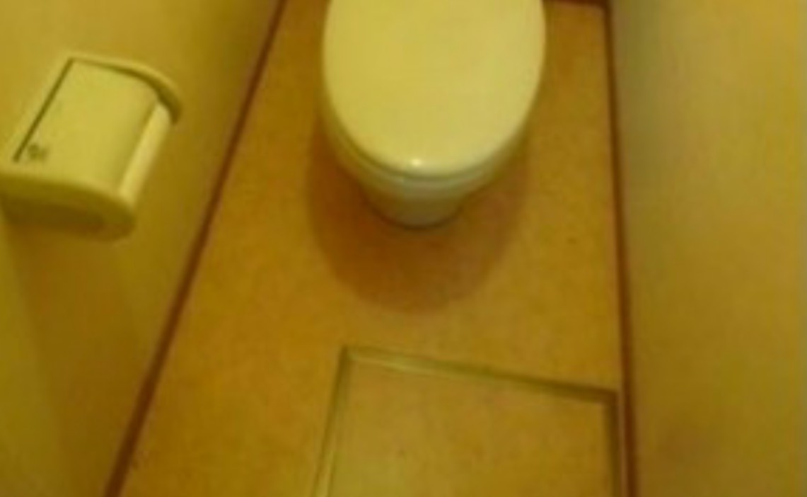 トイレ　☆トイレ☆