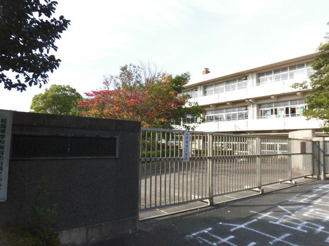 小学校　新石川小学校（小学校）まで500m