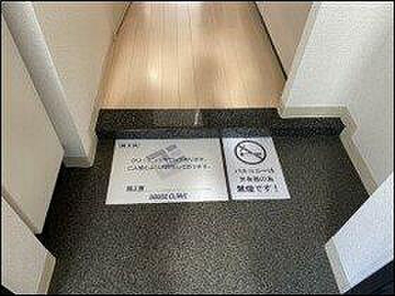 玄関　※別部屋の参考写真です。