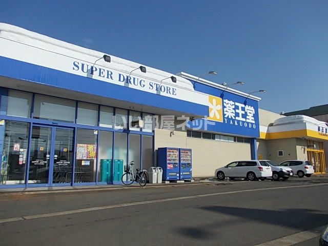 ドラックストア　薬王堂 湯沢田町店（ドラッグストア）まで1100m