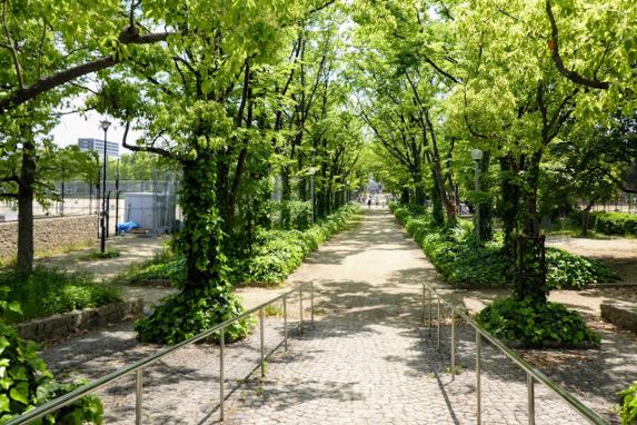 公園　泉尾公園（公園）まで1577m