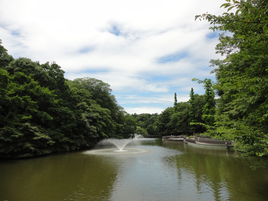 公園　井の頭恩賜公園（公園）まで186m