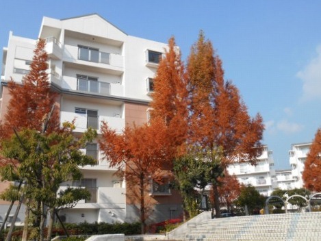 その他共有部分　敷地内３