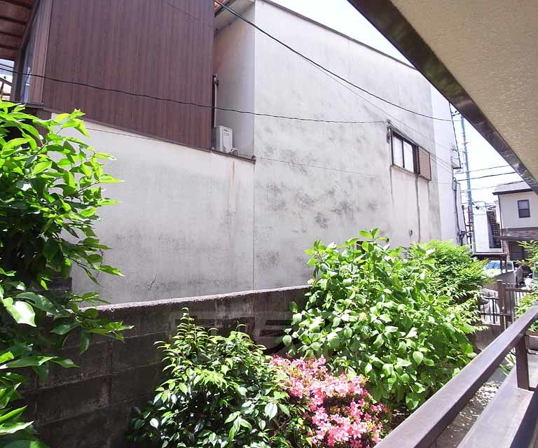 眺望　自然が感じられますね。