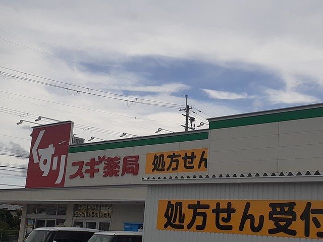 ドラックストア　スギドラッグ富田林若松店様（ドラッグストア）まで900m