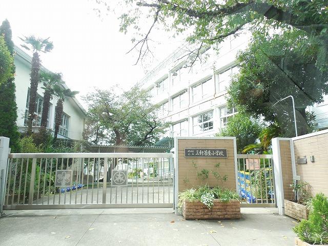 小学校　世田谷区立三軒茶屋小学校（小学校）まで238m