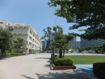 小学校　江東区立越中島小学校（小学校）まで728m