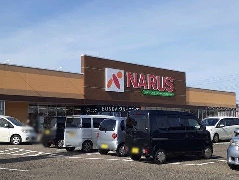 スーパー　ナルス国府店（スーパー）まで750m