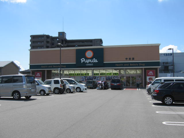 ドラックストア　ププレひまわり中庄店（ドラッグストア）まで904m