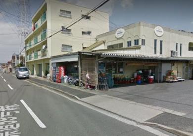 スーパー　株式会社スーパータマカネ本店（スーパー）まで182m