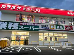 スーパー　業務スーパー 向佐野店（スーパー）まで519m
