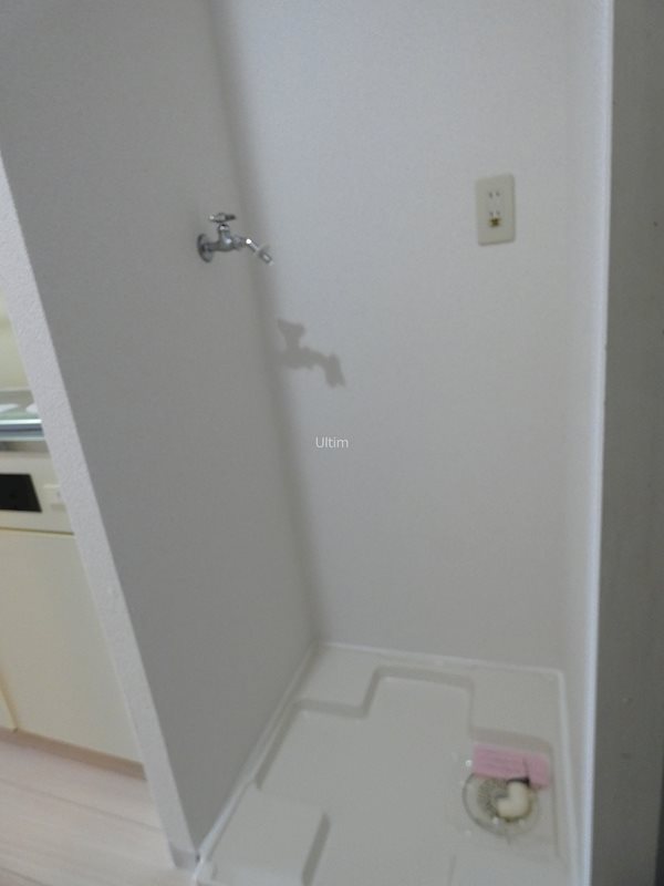 その他　洗濯機置き場※同タイプの他のお部屋です