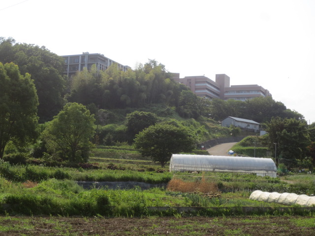 大学・短大　東京農業大学農学部 厚木キャンパス（大学・短大）まで1304m
