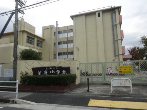 小学校　宝塚市立美座小学校（小学校）まで919m