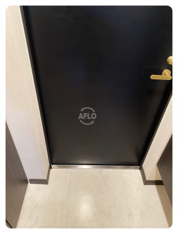 玄関　ディナスティ松屋町II　玄関