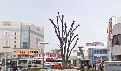 その他　志木駅（その他）まで850m