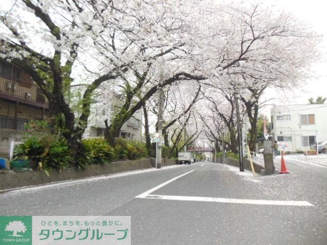その他　★桜坂★（その他）まで2300m